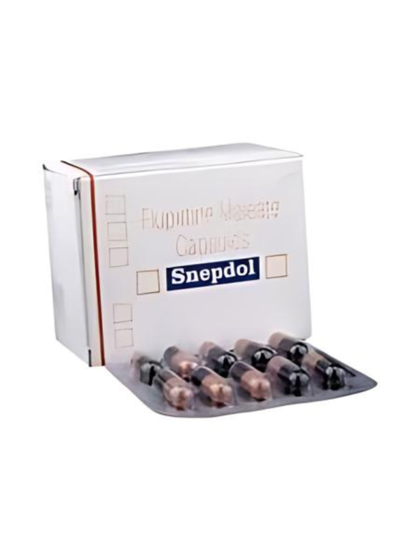 IVM_192_01 Snepdol Capsules